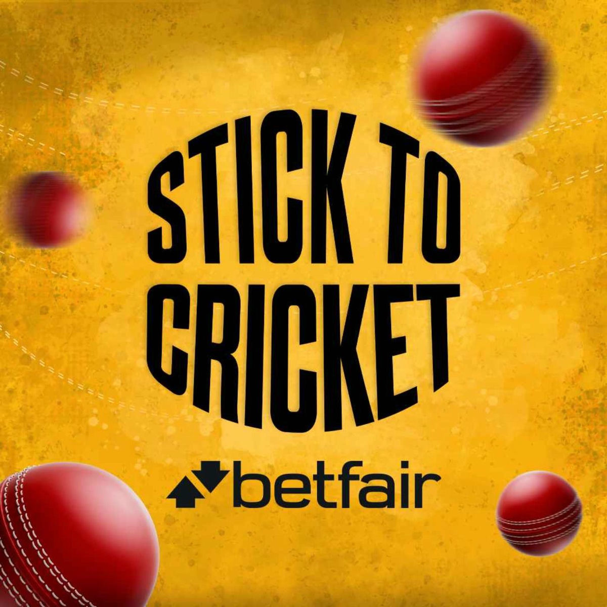 Show cover of Stick to Cricket