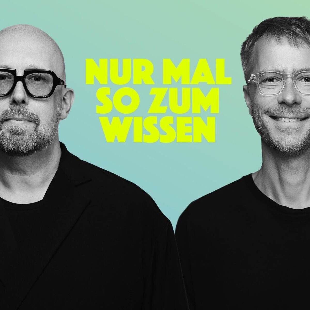 Show cover of NUR MAL SO ZUM WISSEN