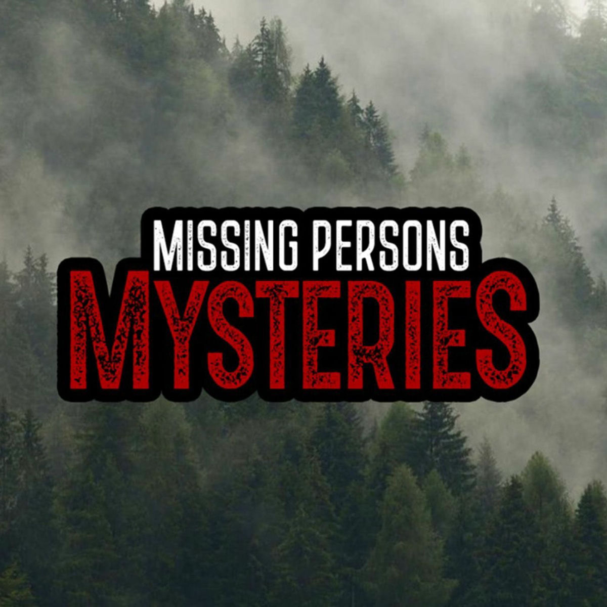 Show cover of Missing Persons Mysteries