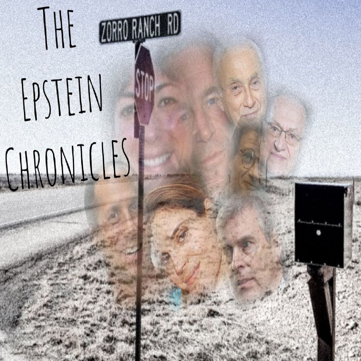 Show cover of The Epstein Chronicles