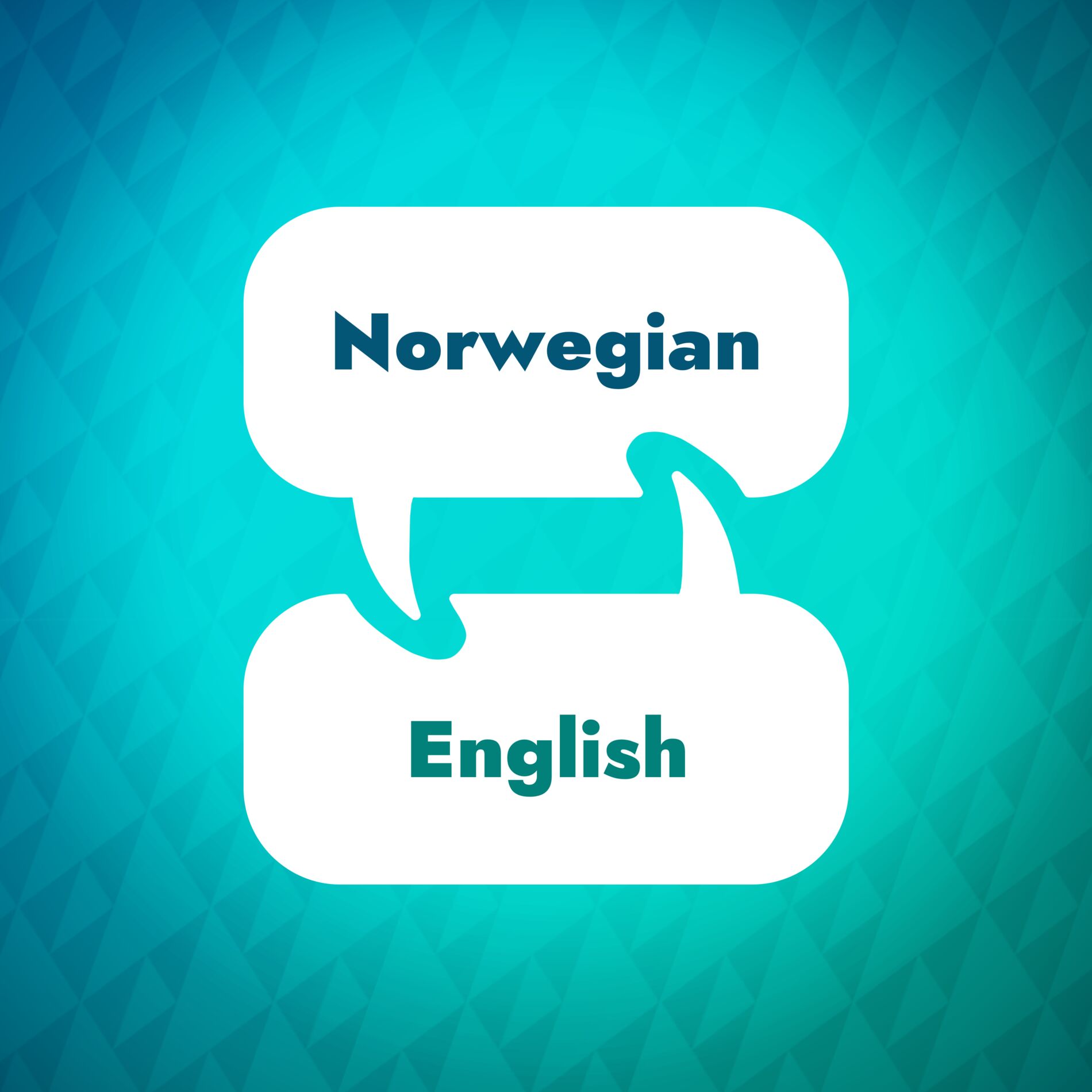 Show cover of Norwegian Learning Accelerator