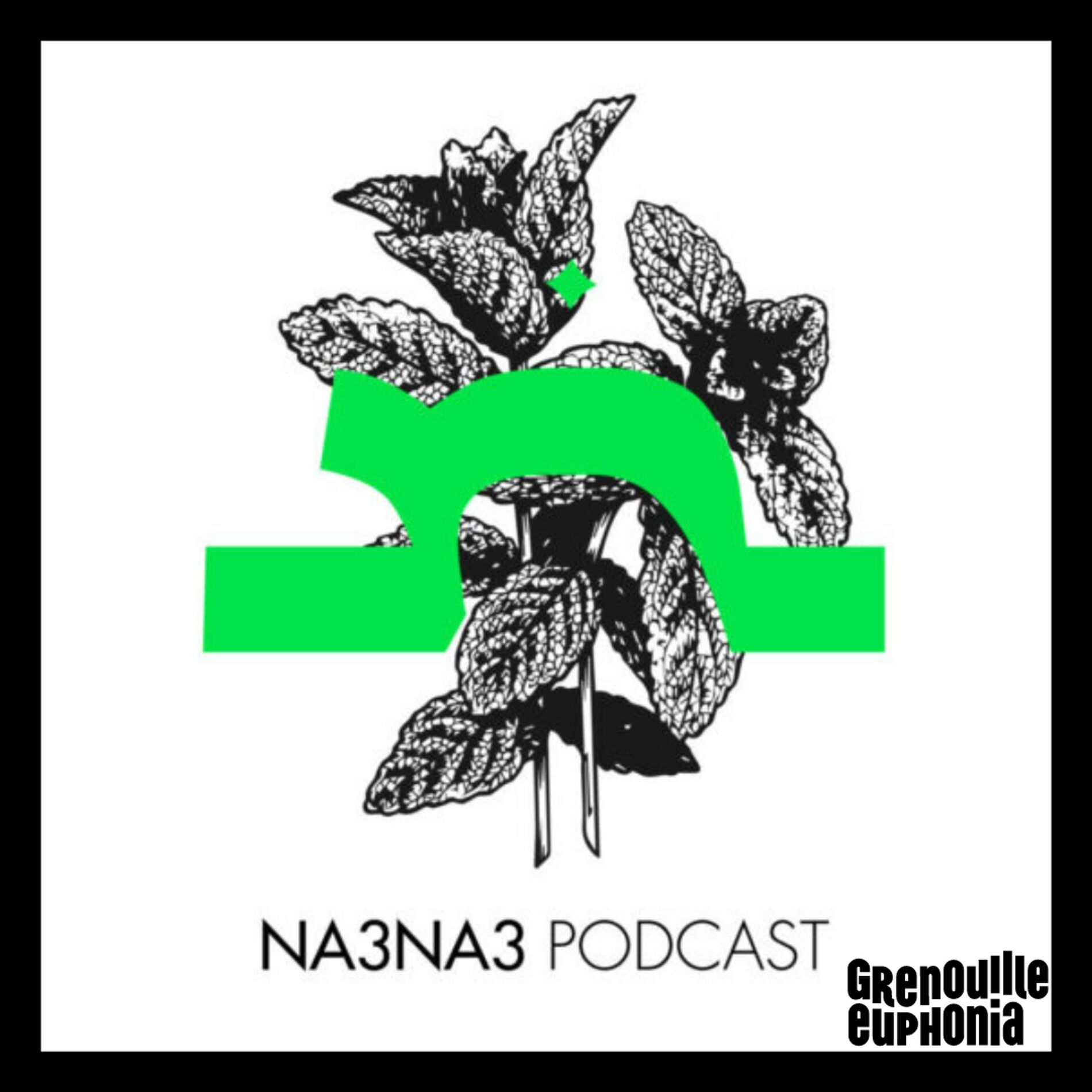 Show cover of Na3na3 - Nadia Slimani