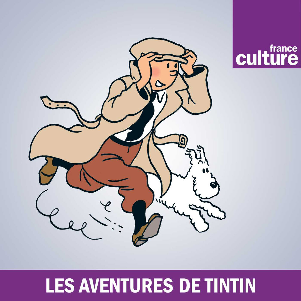 Show cover of Les Aventures de Tintin