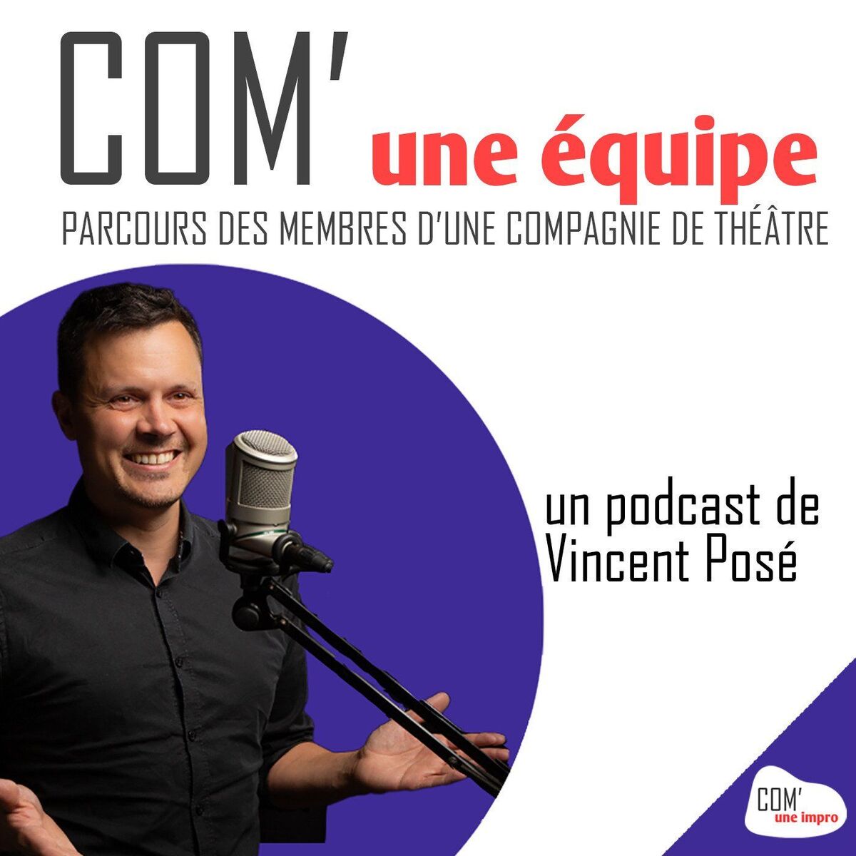 Show cover of Com' Une Équipe - parcours d'improvisation théâtrale et de théâtre