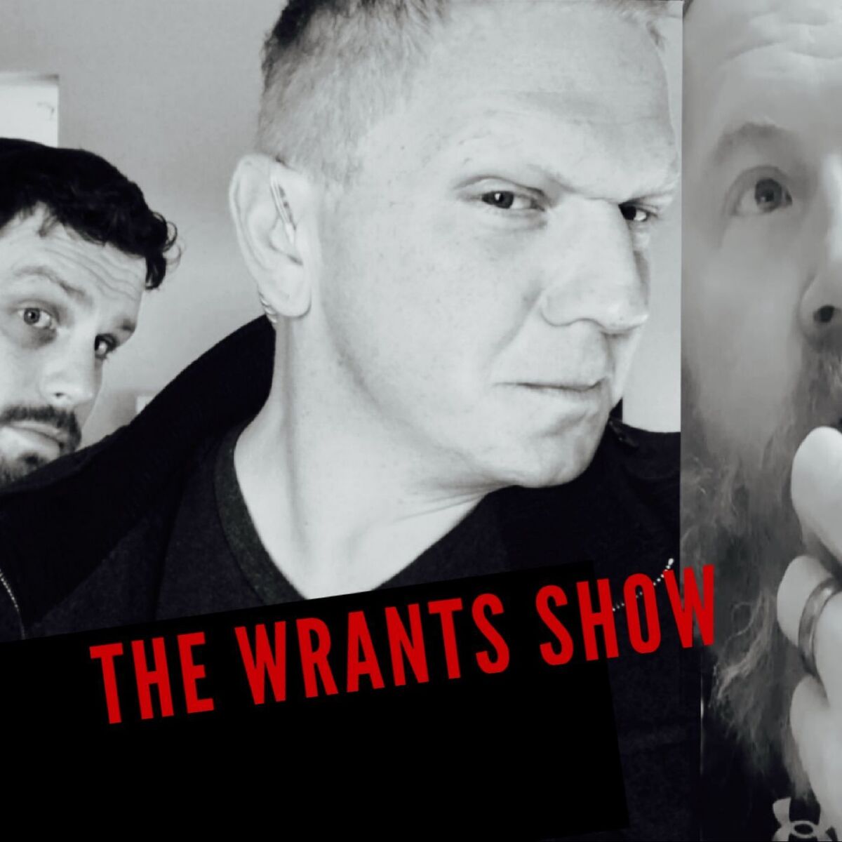 Show cover of The Wrants Show