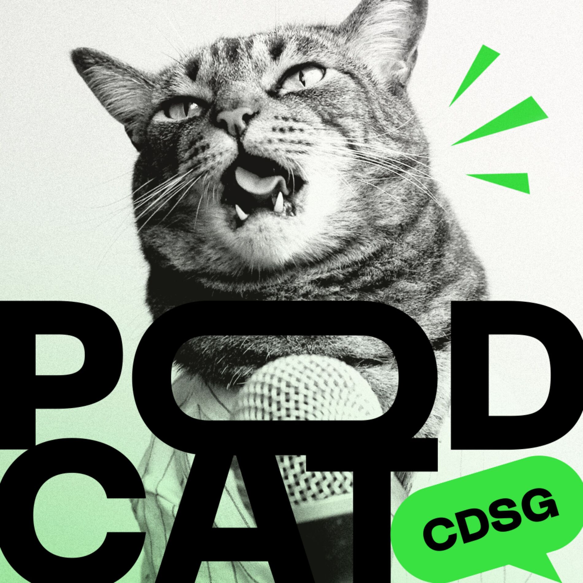 Show cover of Podcat