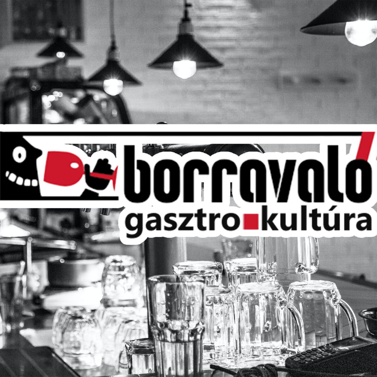 Show cover of Borravaló