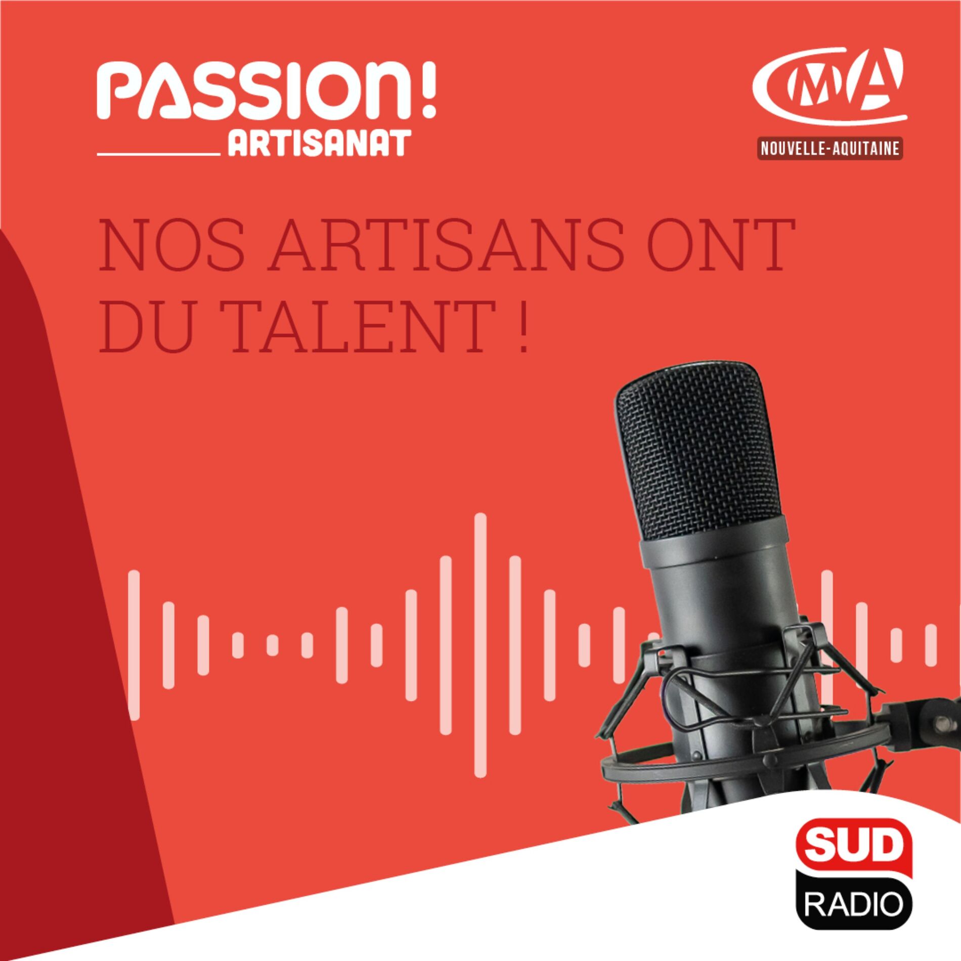 Show cover of PASSION ARTISANAT !
