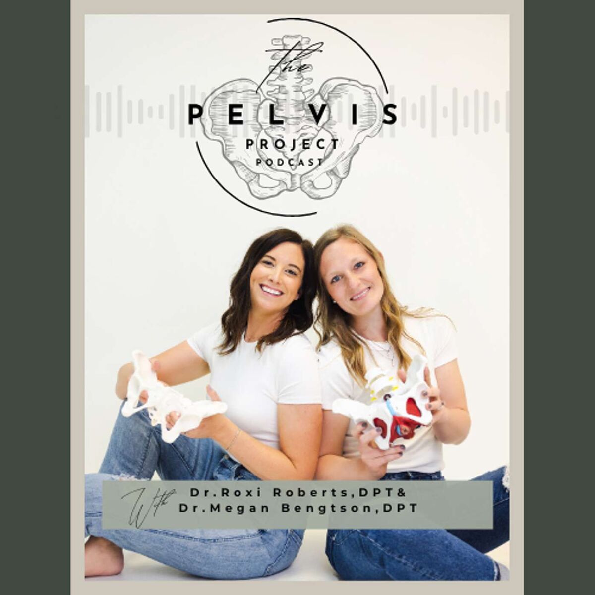 Show cover of The Pelvis Project Podcast
