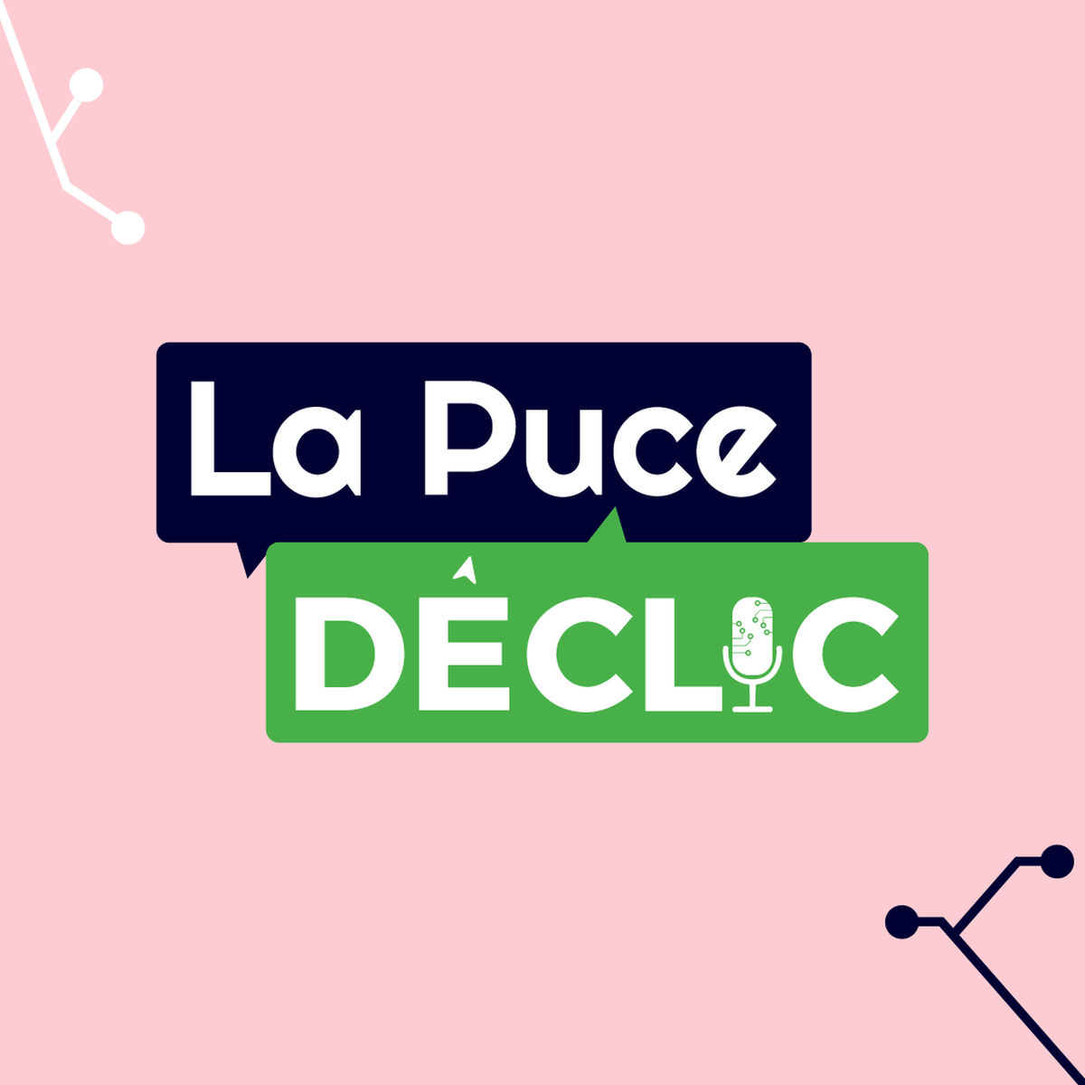 Show cover of La Puce Déclic