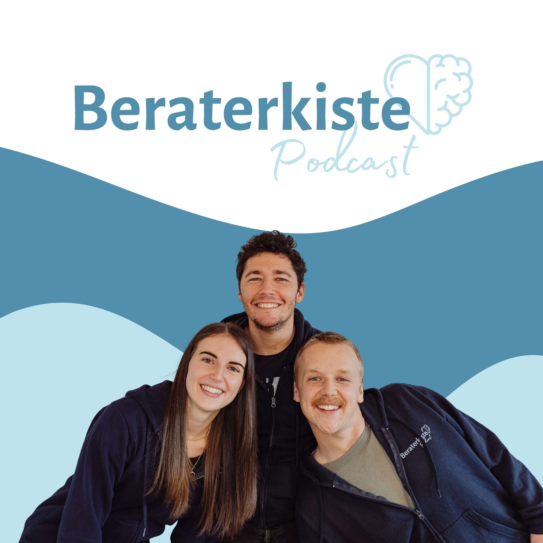 Show cover of Beraterkiste