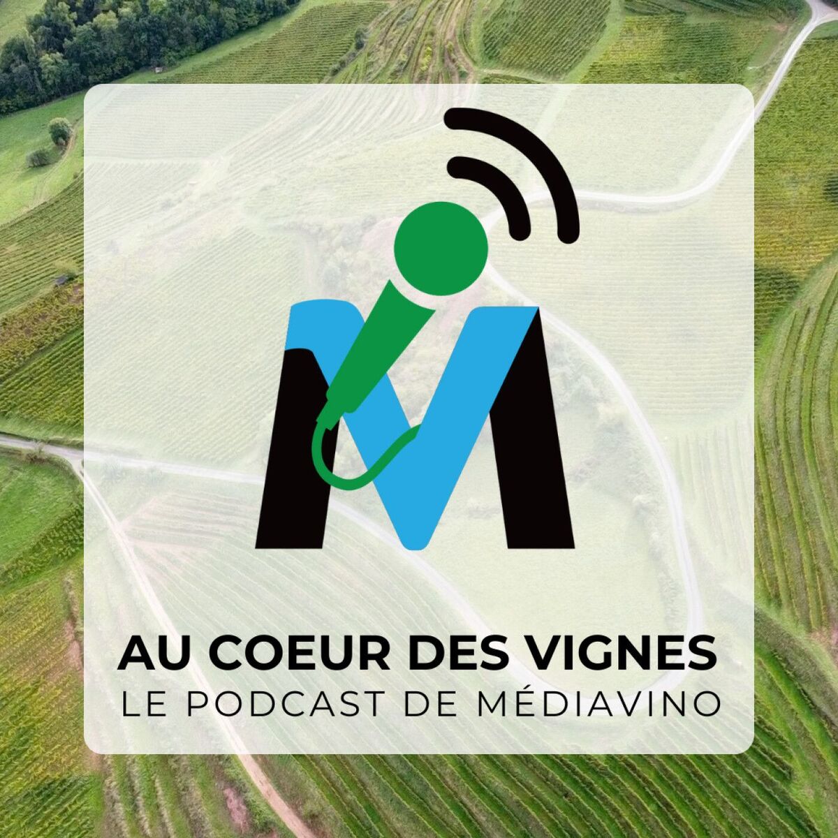 Show cover of Au coeur des vignes, le podcast vin