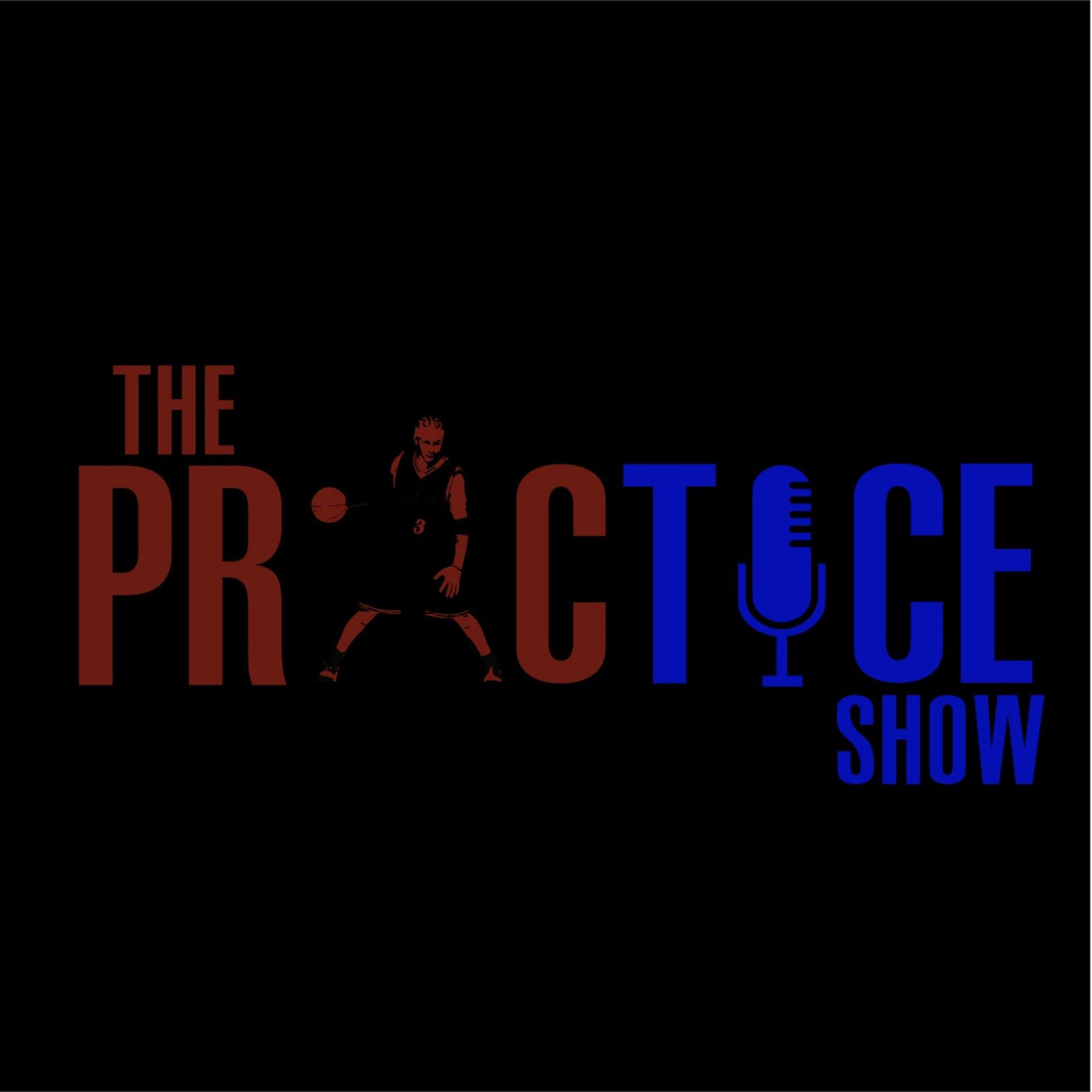 Show cover of The Practice Show