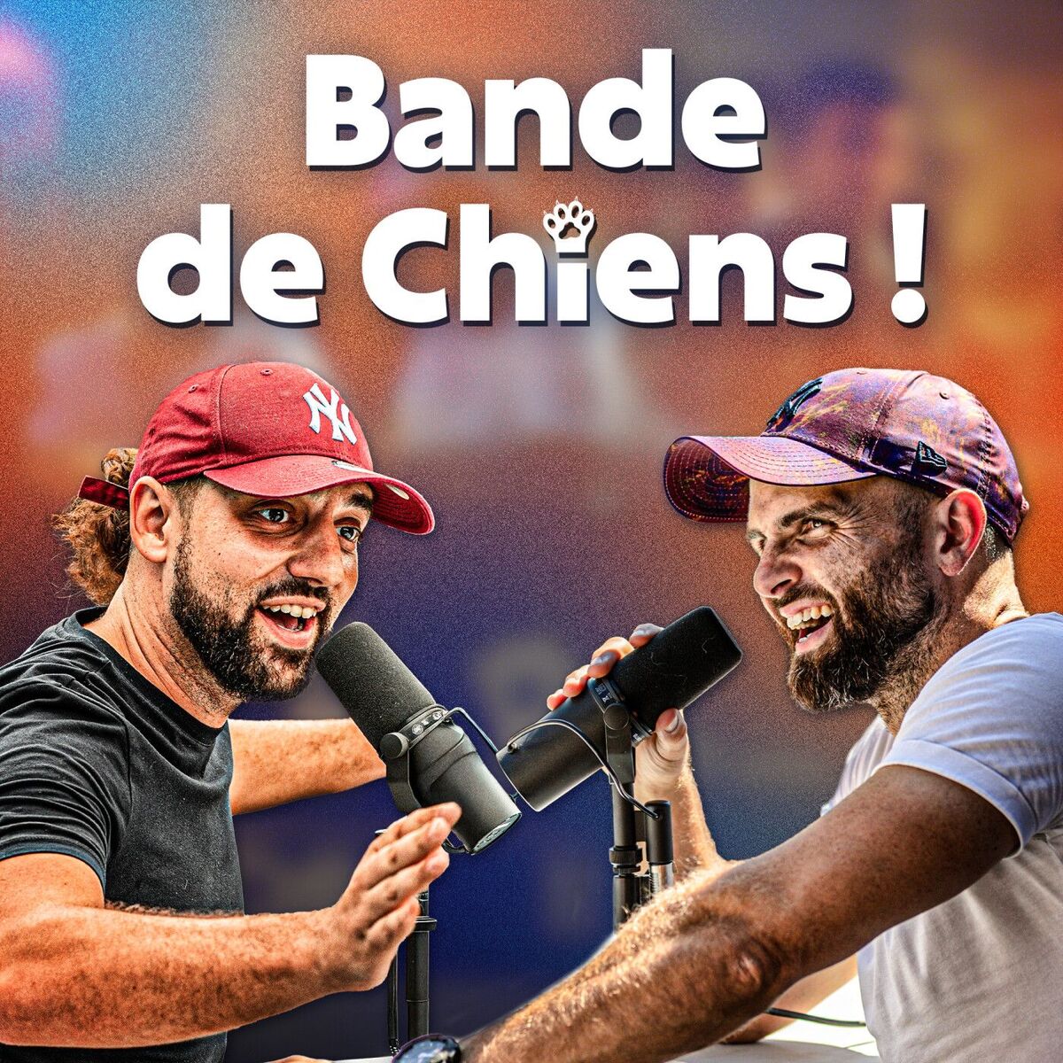 Show cover of Bande de Chiens !