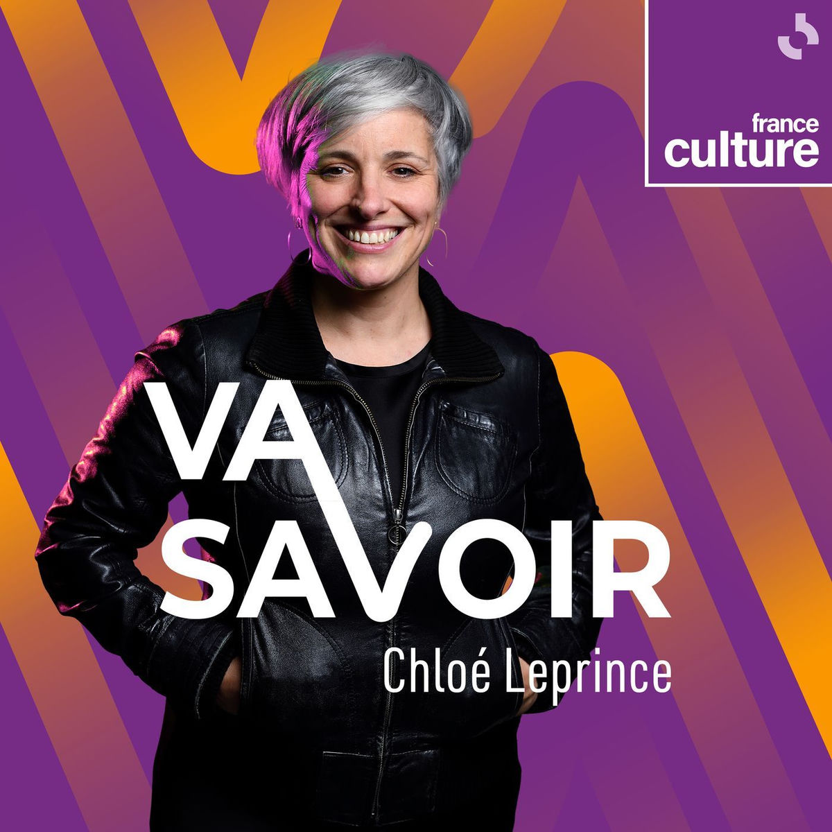 Show cover of Va savoir