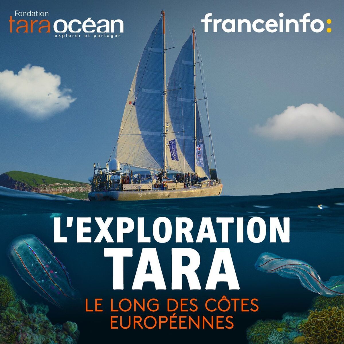 Show cover of L'exploration Tara