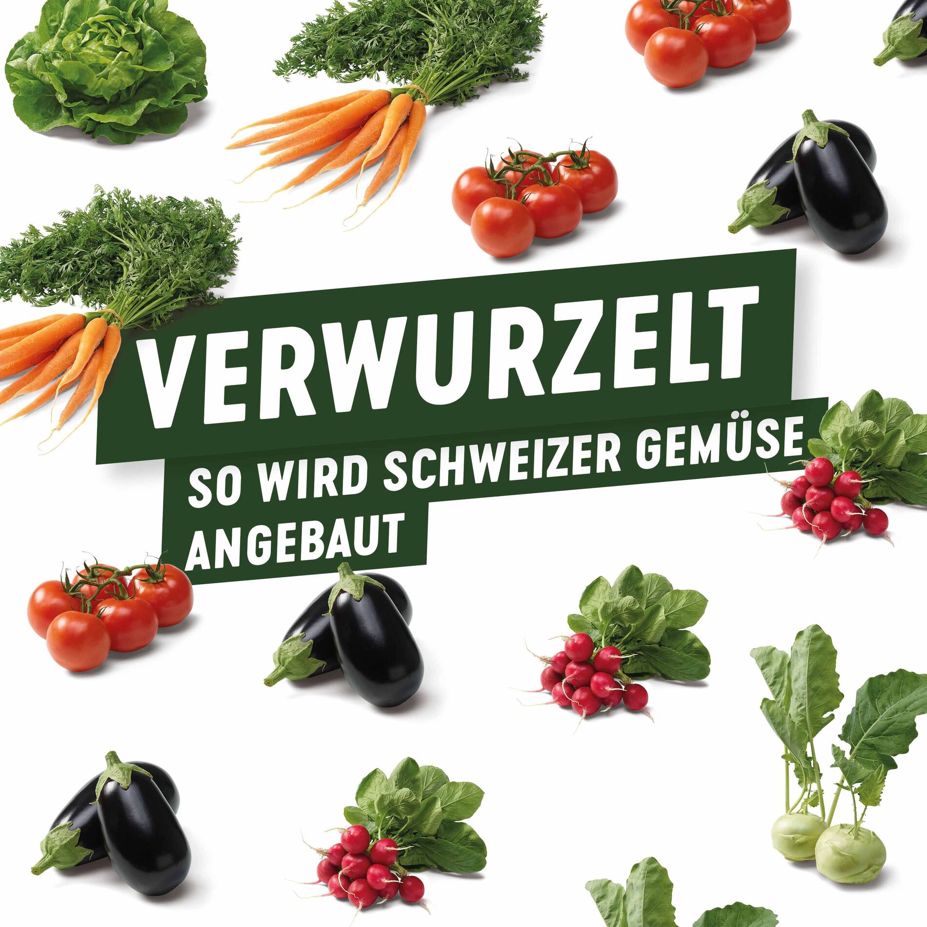 Show cover of Verwurzelt – so wird Schweizer Gemüse angebaut