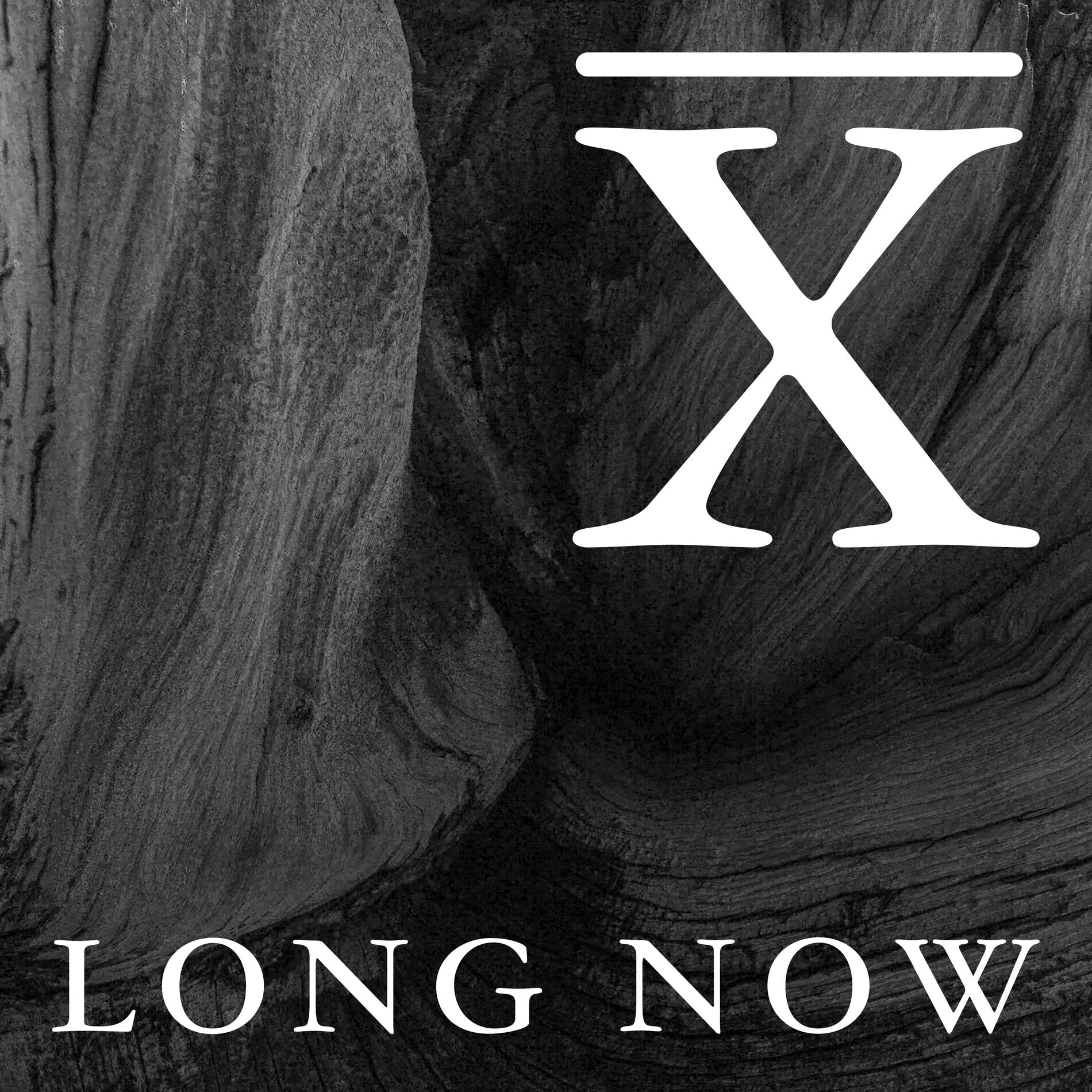 Show cover of Long Now