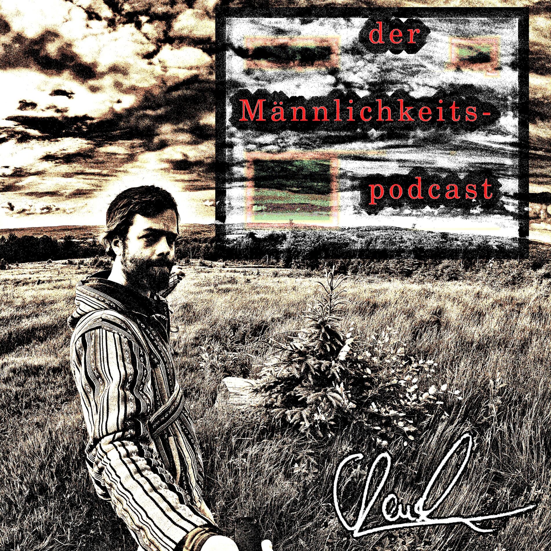 Show cover of der Männlichkeits-podcast