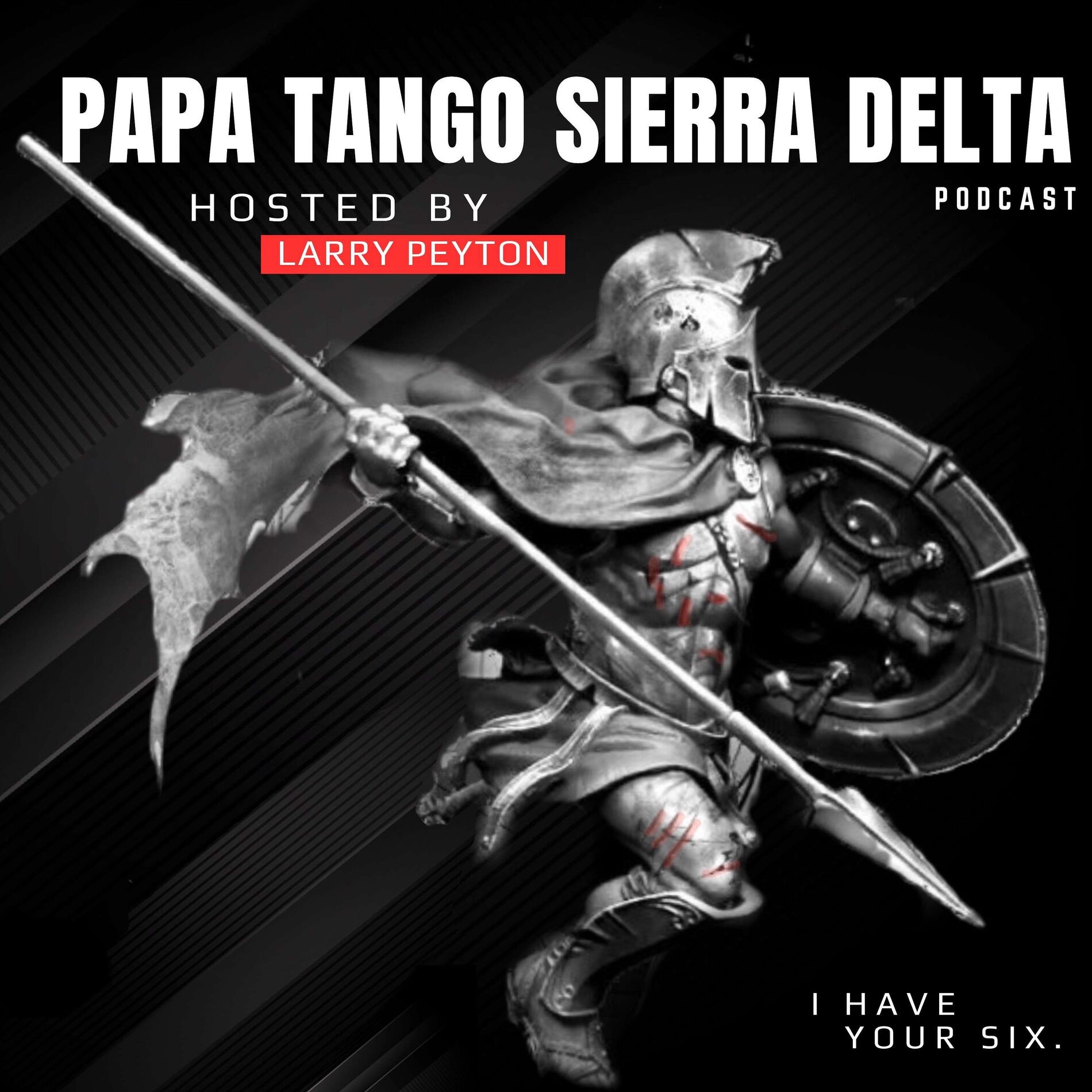 Show cover of Papa Tango Sierra Delta
