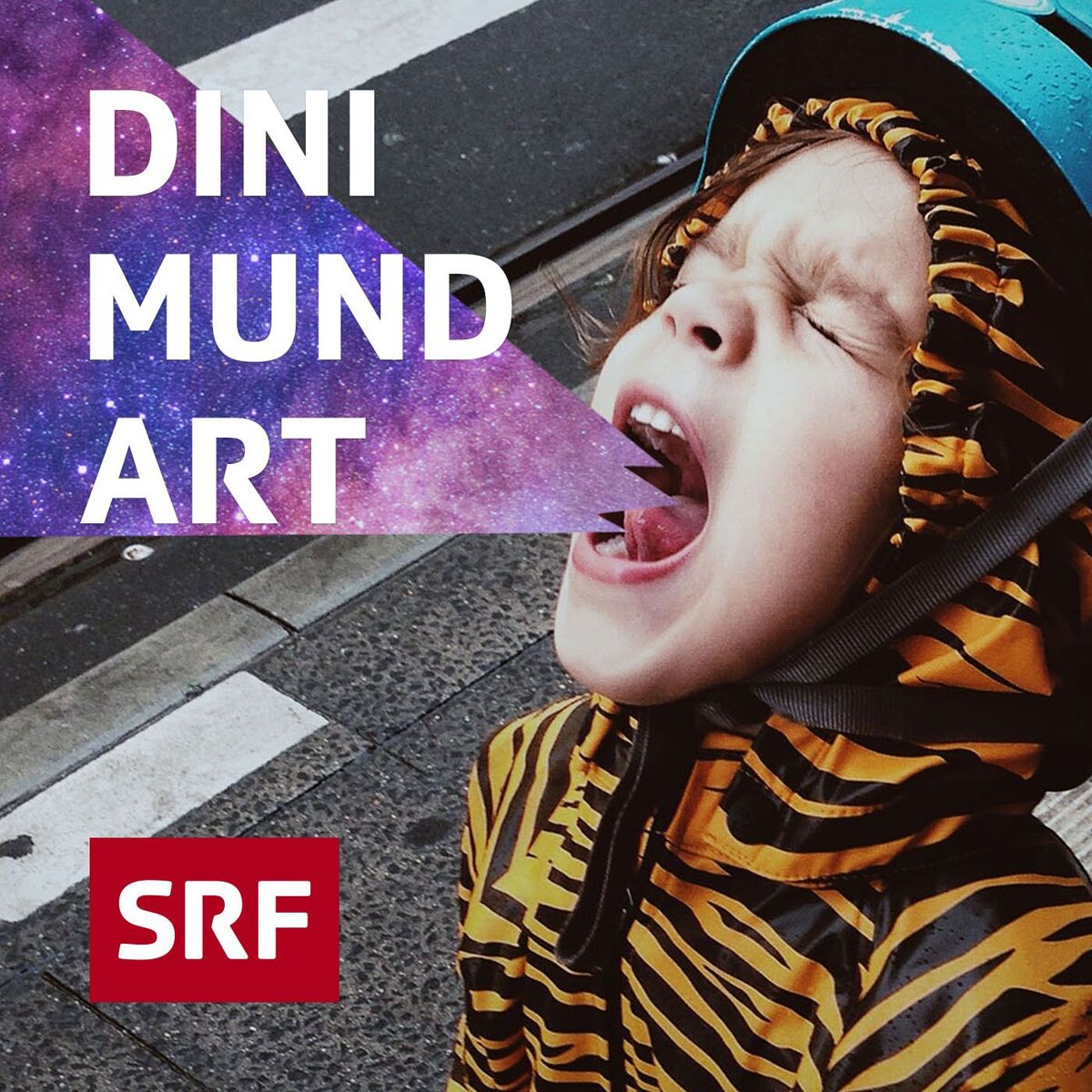 Show cover of Dini Mundart