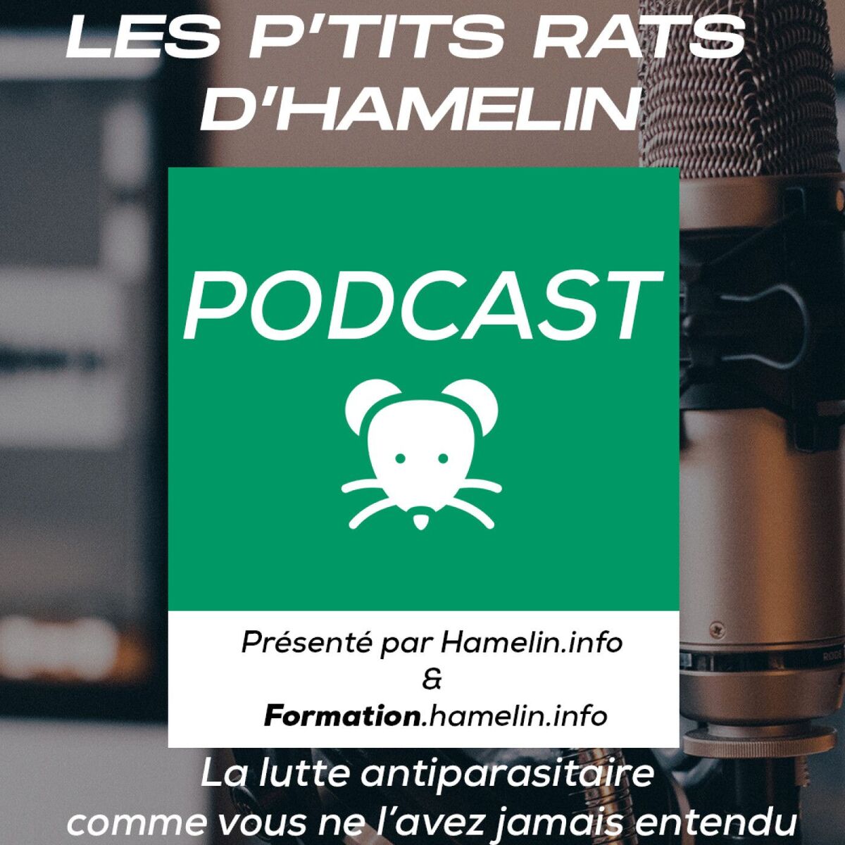 Show cover of Les Petits rats d'Hamelin