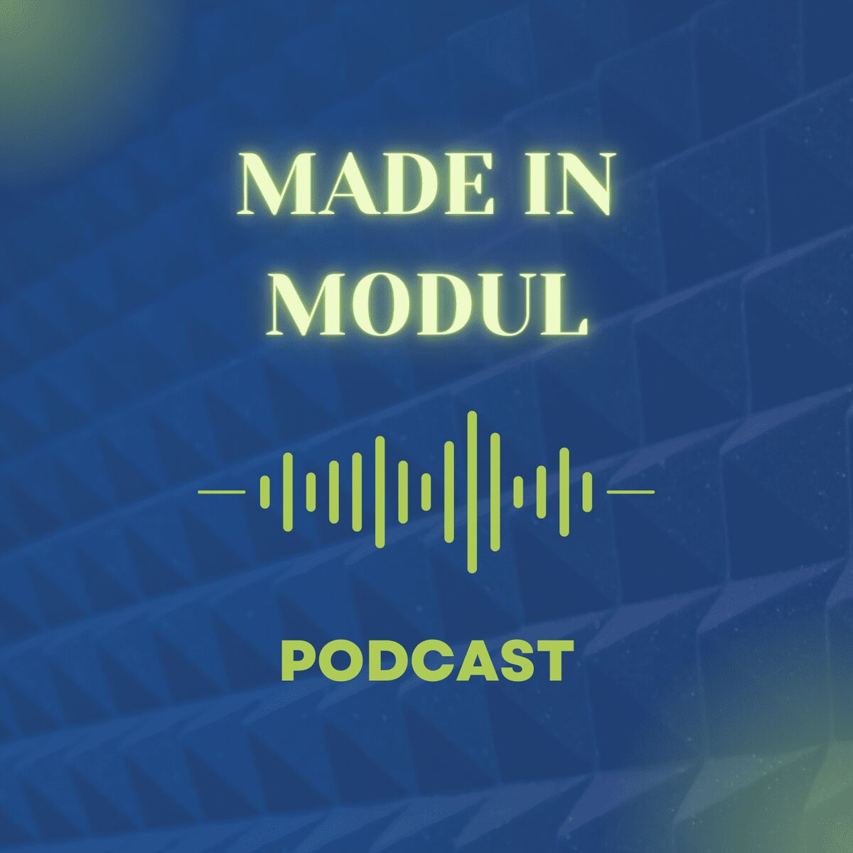 Show cover of Made In Modul