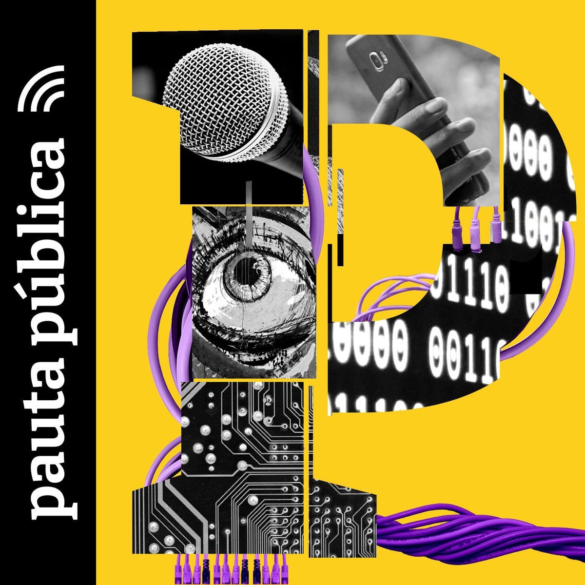 Show cover of Pauta Pública