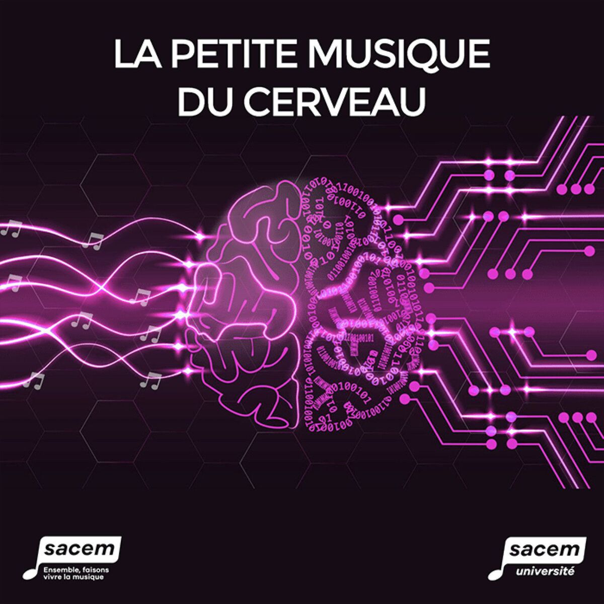 Show cover of La Petite Musique du Cerveau