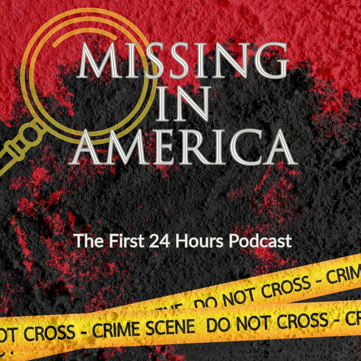 Show cover of Missing in America The First 24 Hours