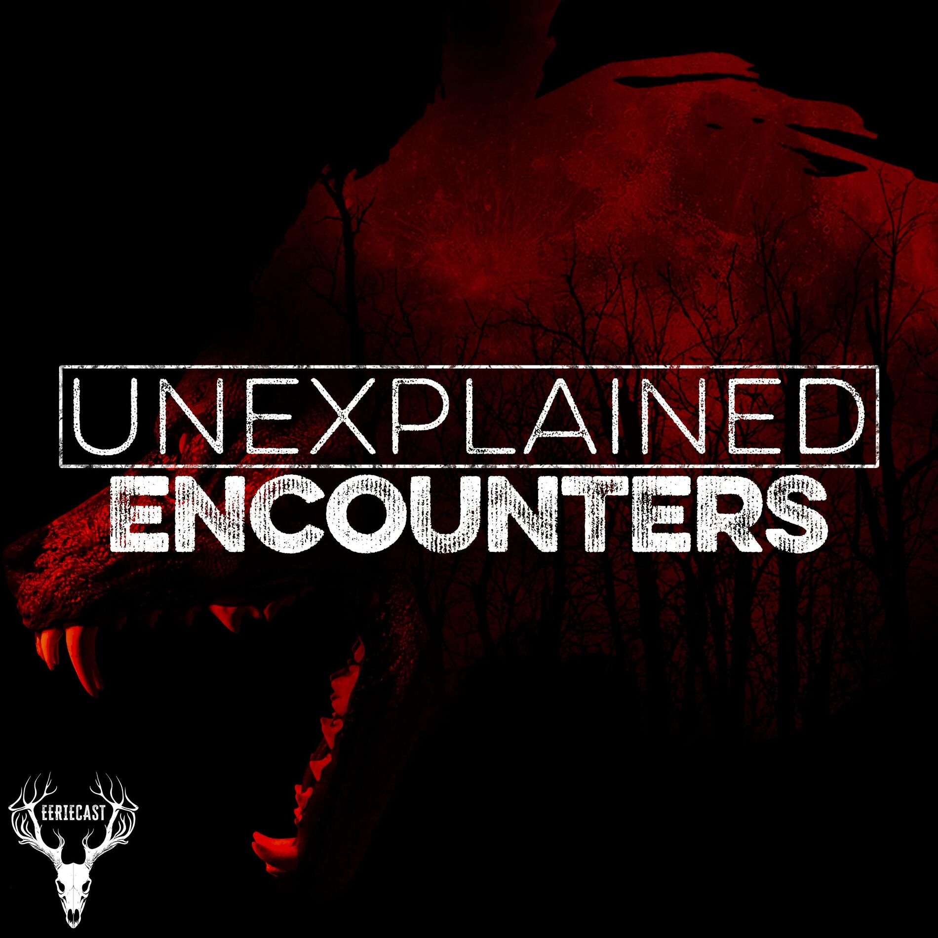 Show cover of Unexplained Encounters