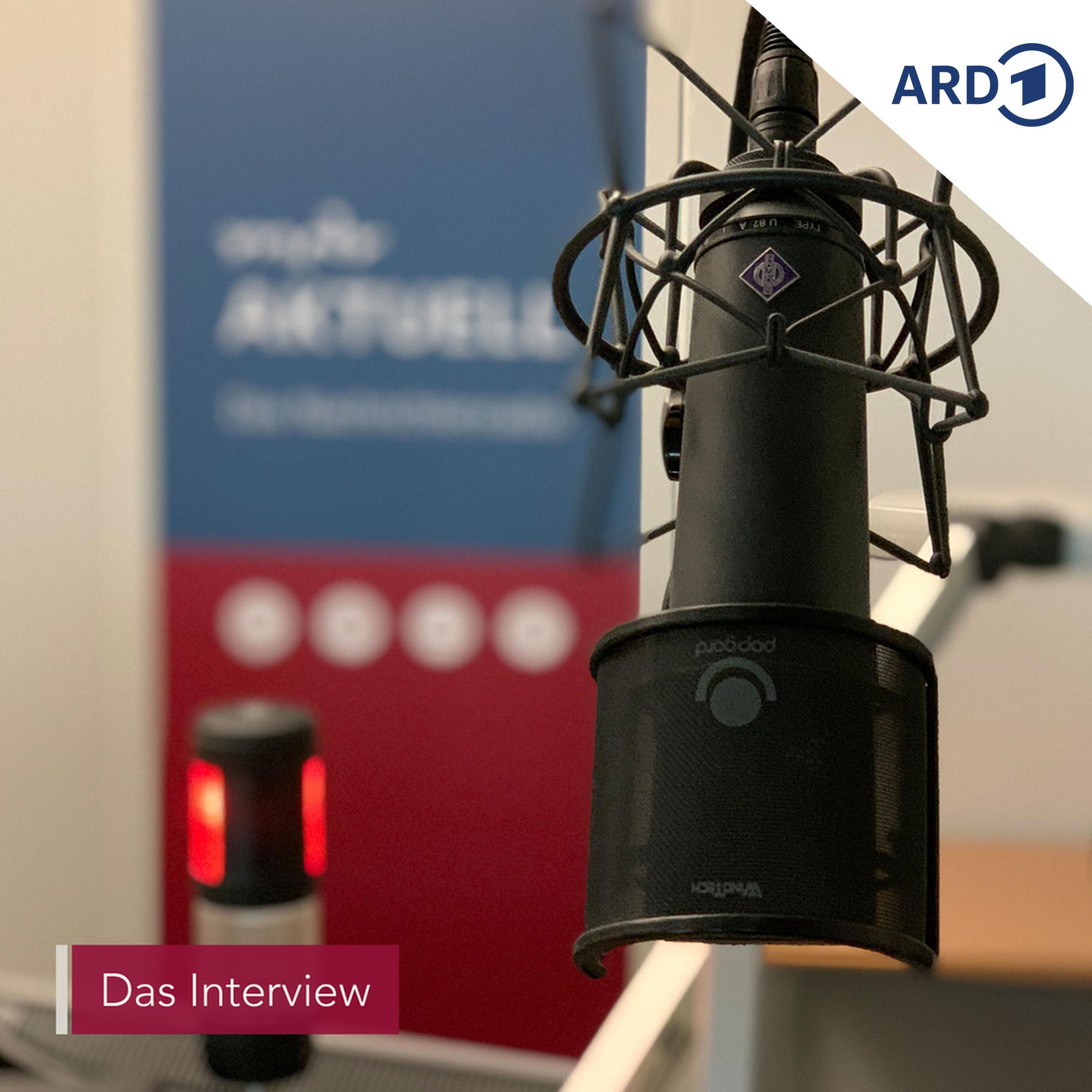 Show cover of Das Interview von MDR AKTUELL