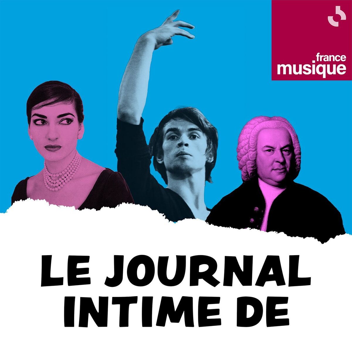 Show cover of Le journal intime de...