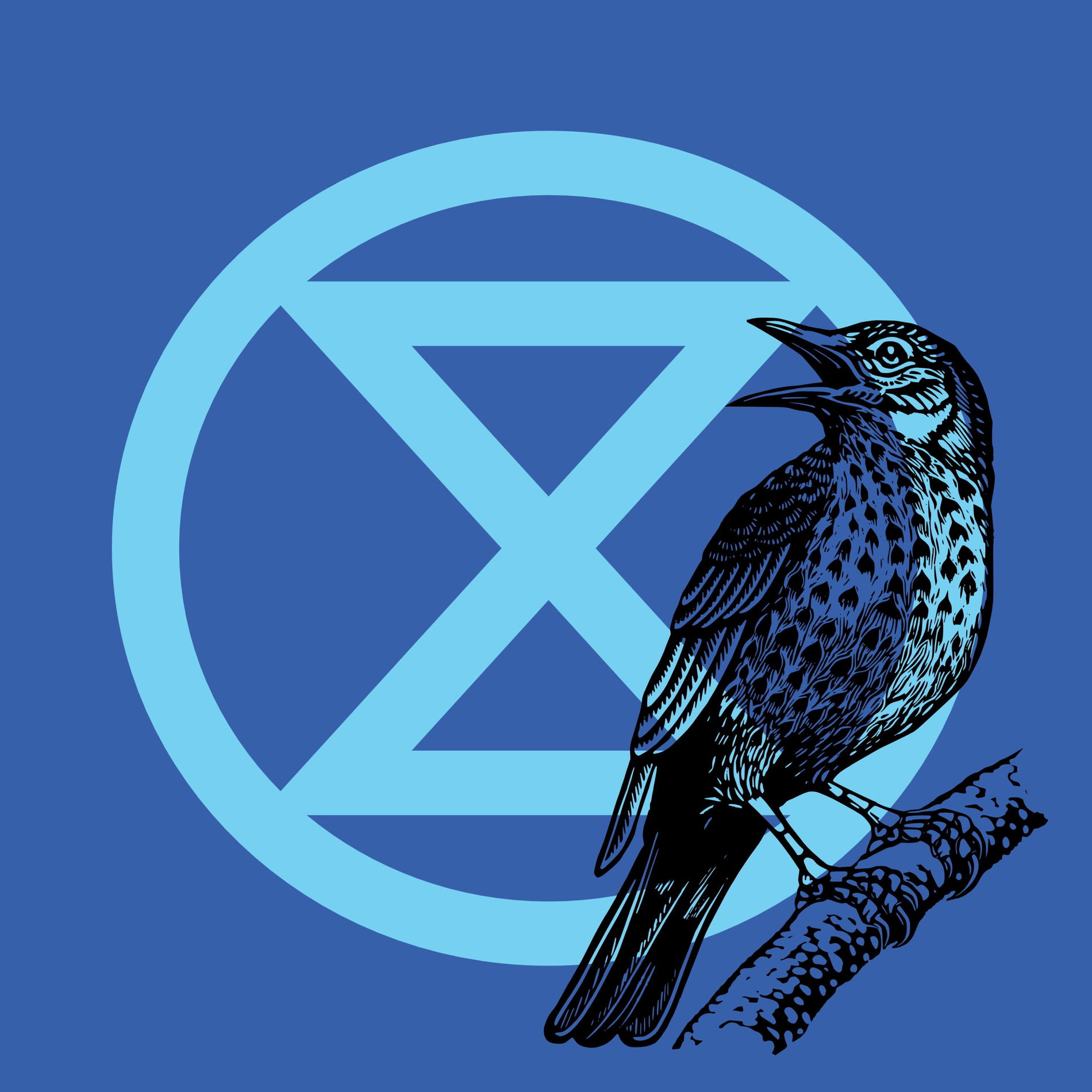 Show cover of Extinction Rebellion - Der Bewegungspodcast