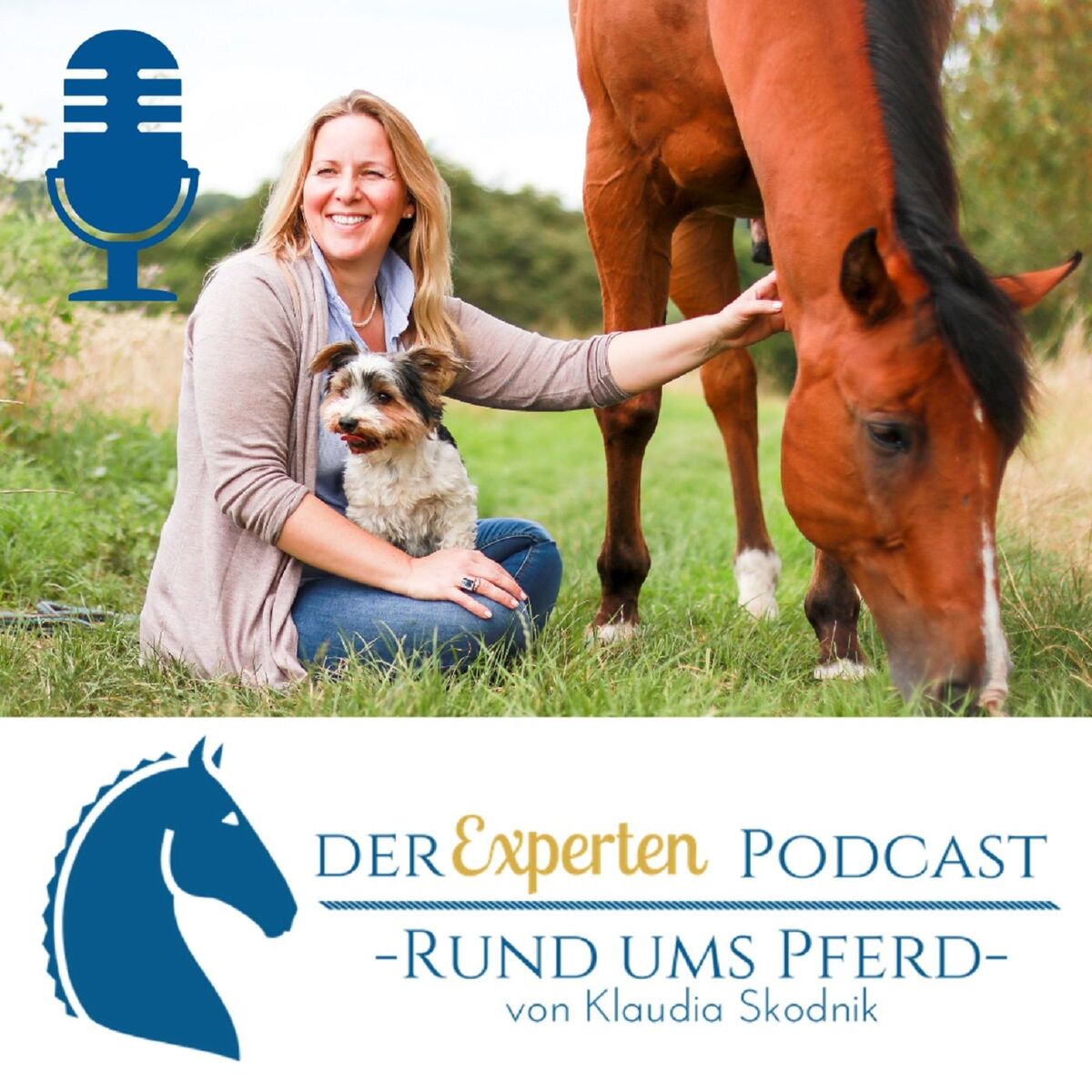 Show cover of Rund ums Pferd - Klaudia Skodnik