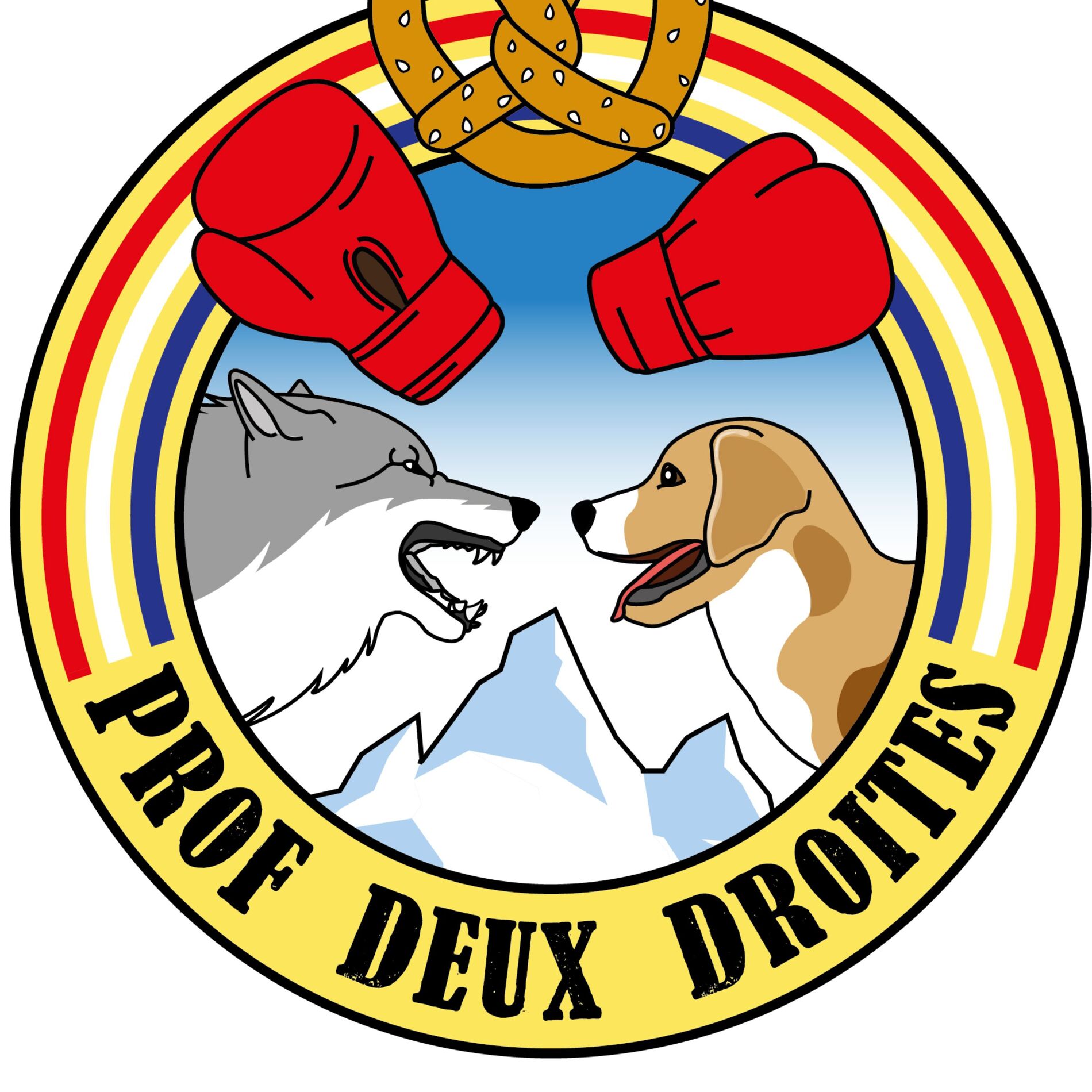 Show cover of ProfDeuxDroites