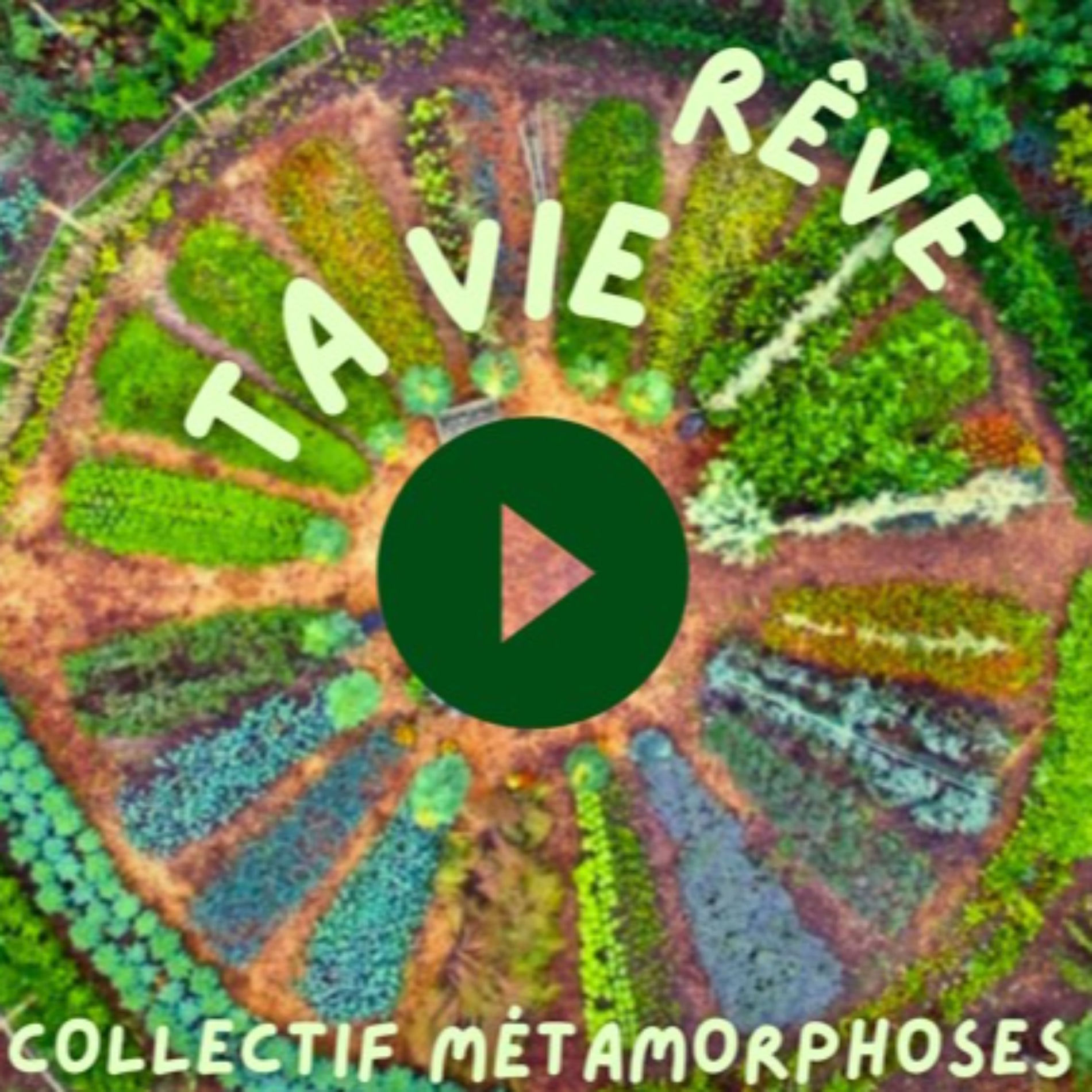Show cover of Rêve ta vie