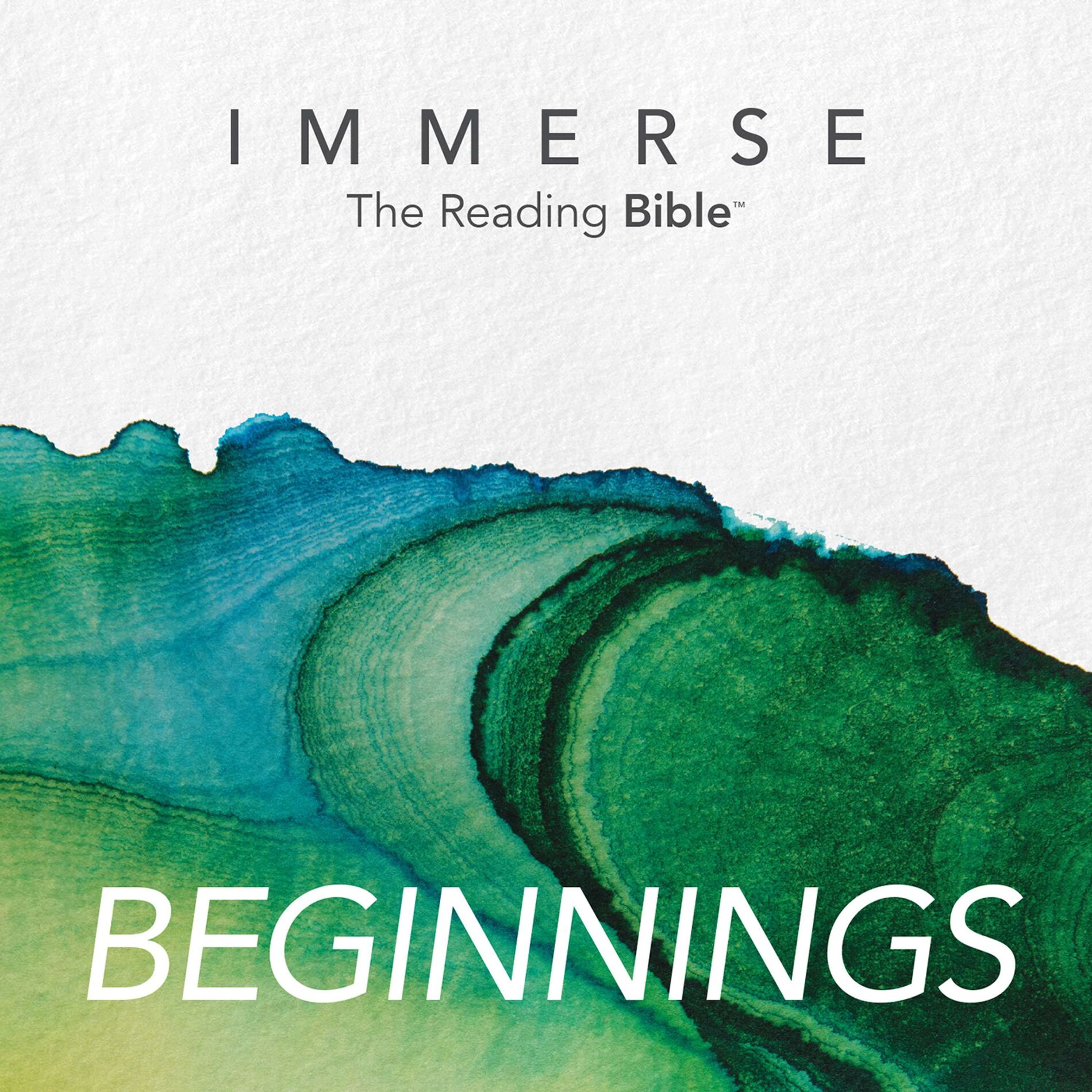 Show cover of Immerse: Beginnings – 16 Week Bible Reading Experience