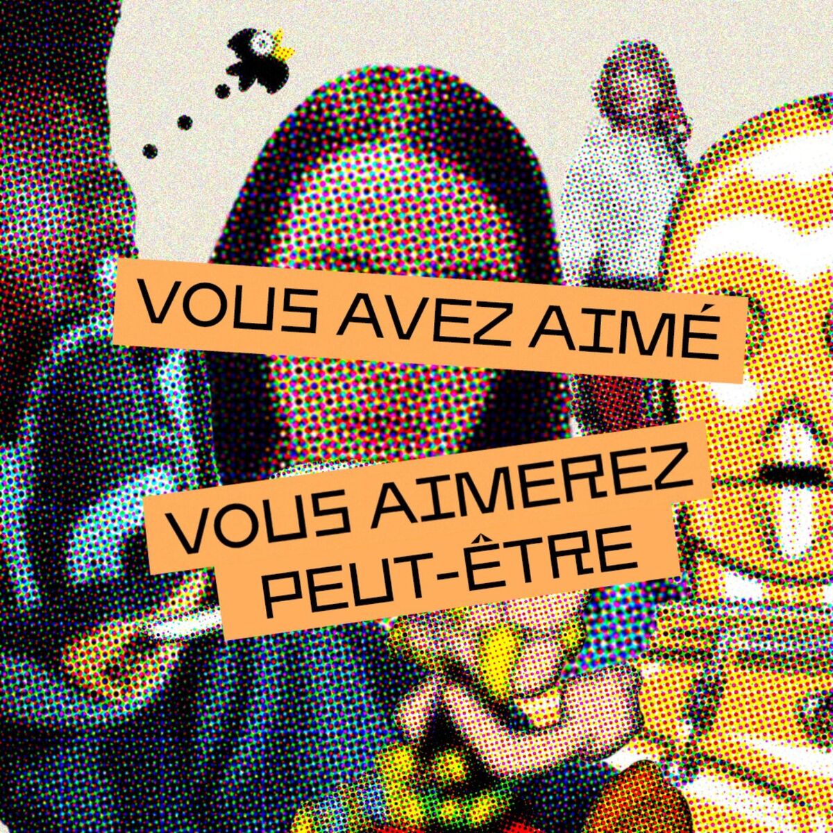 Show cover of Vous avez aimé... ?