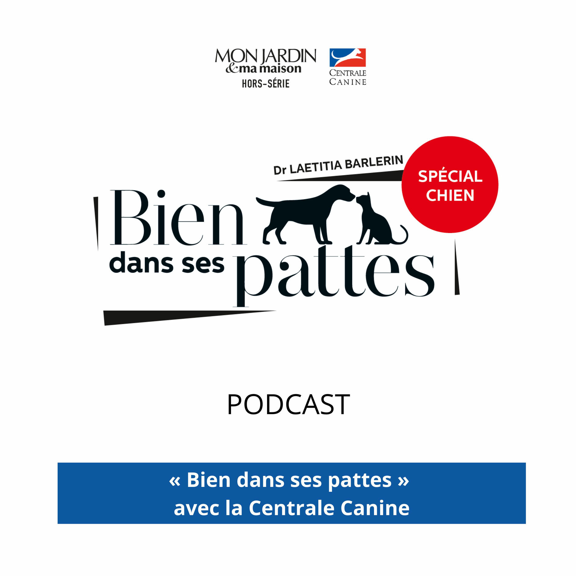 Show cover of “Bien dans ses pattes” avec la Centrale Canine