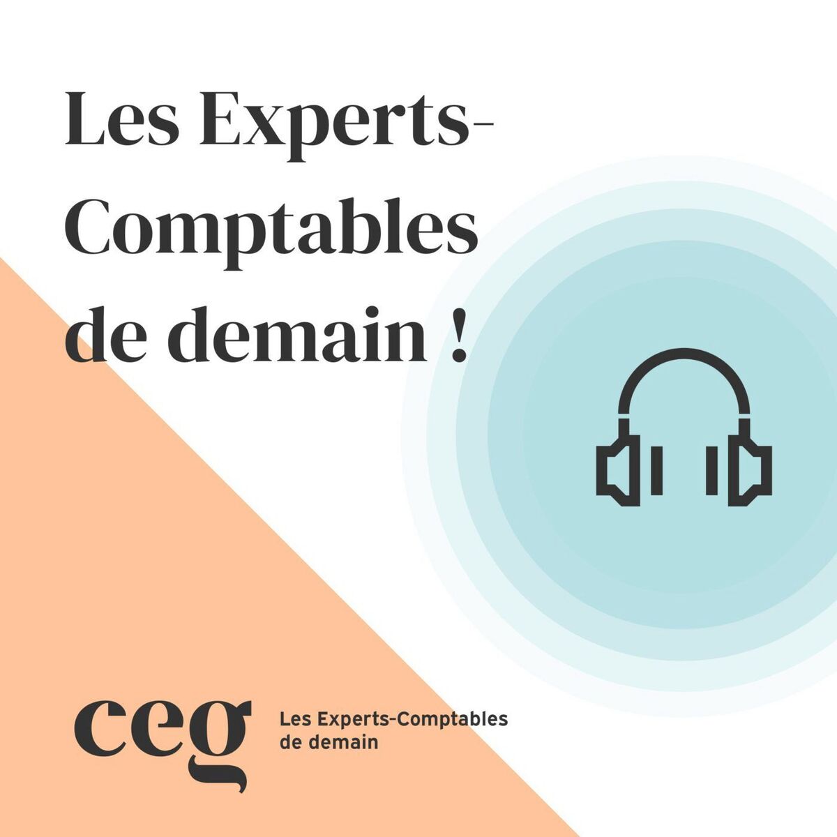 Show cover of Les Experts-Comptables de demain !