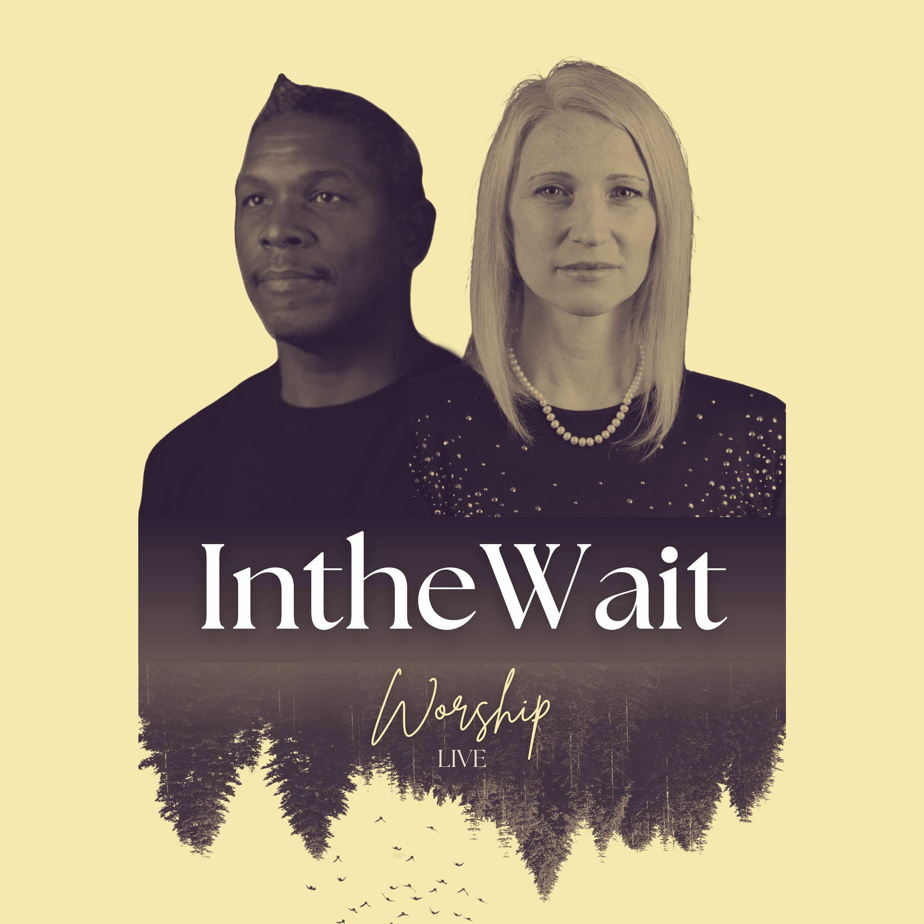 Show cover of In the Wait Soaking Worship