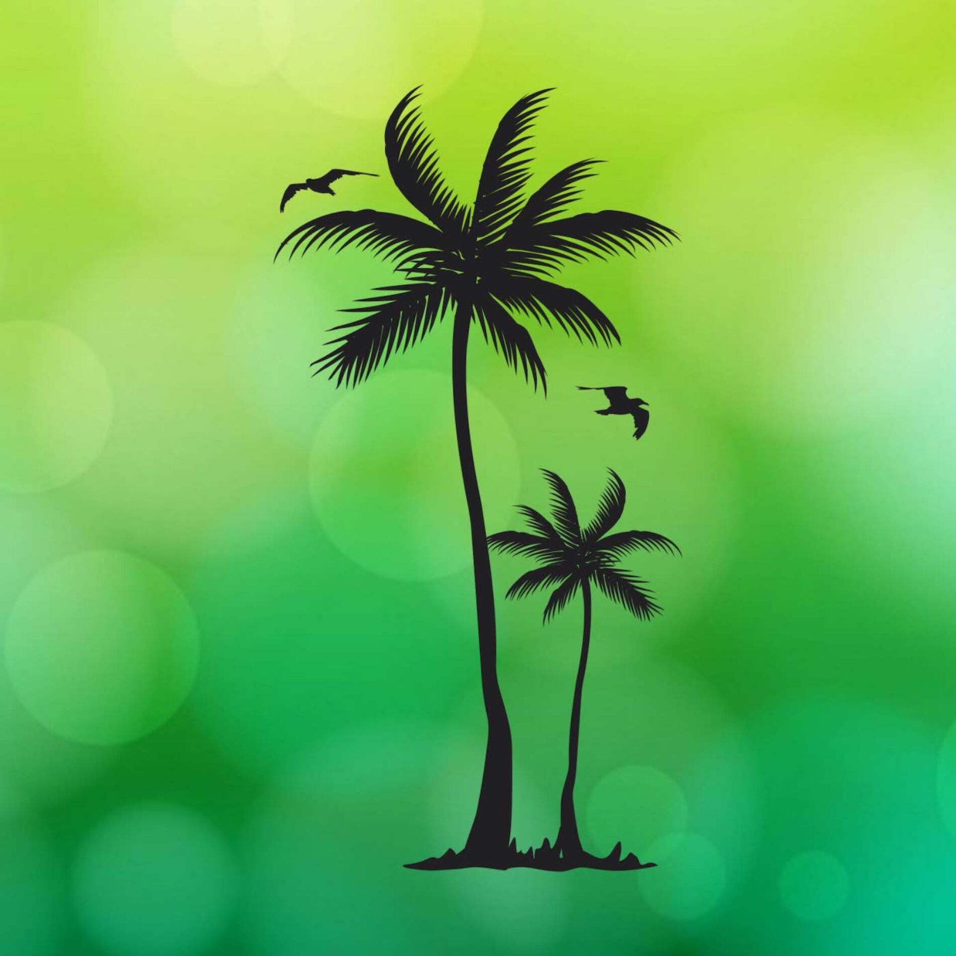 Show cover of Malibu Music