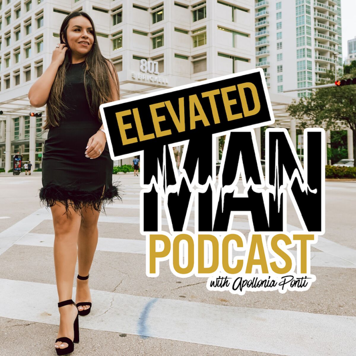 Show cover of The Elevated Man