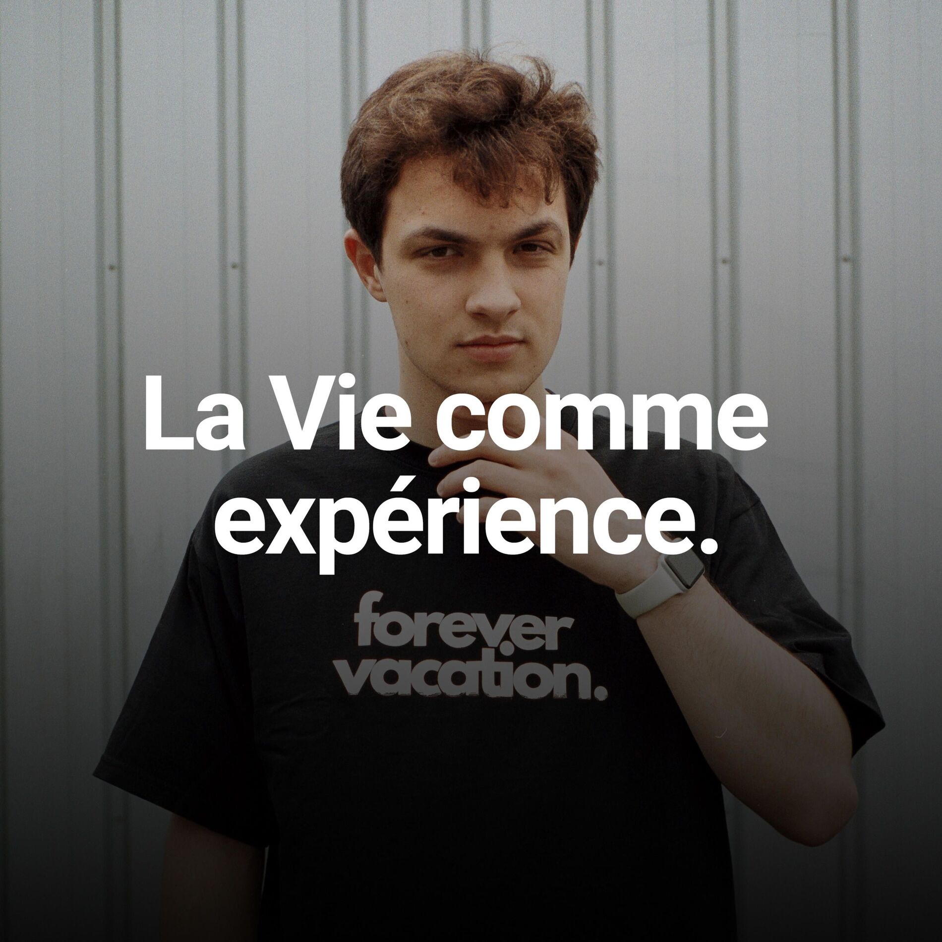Show cover of Flub - La Vie comme expérience