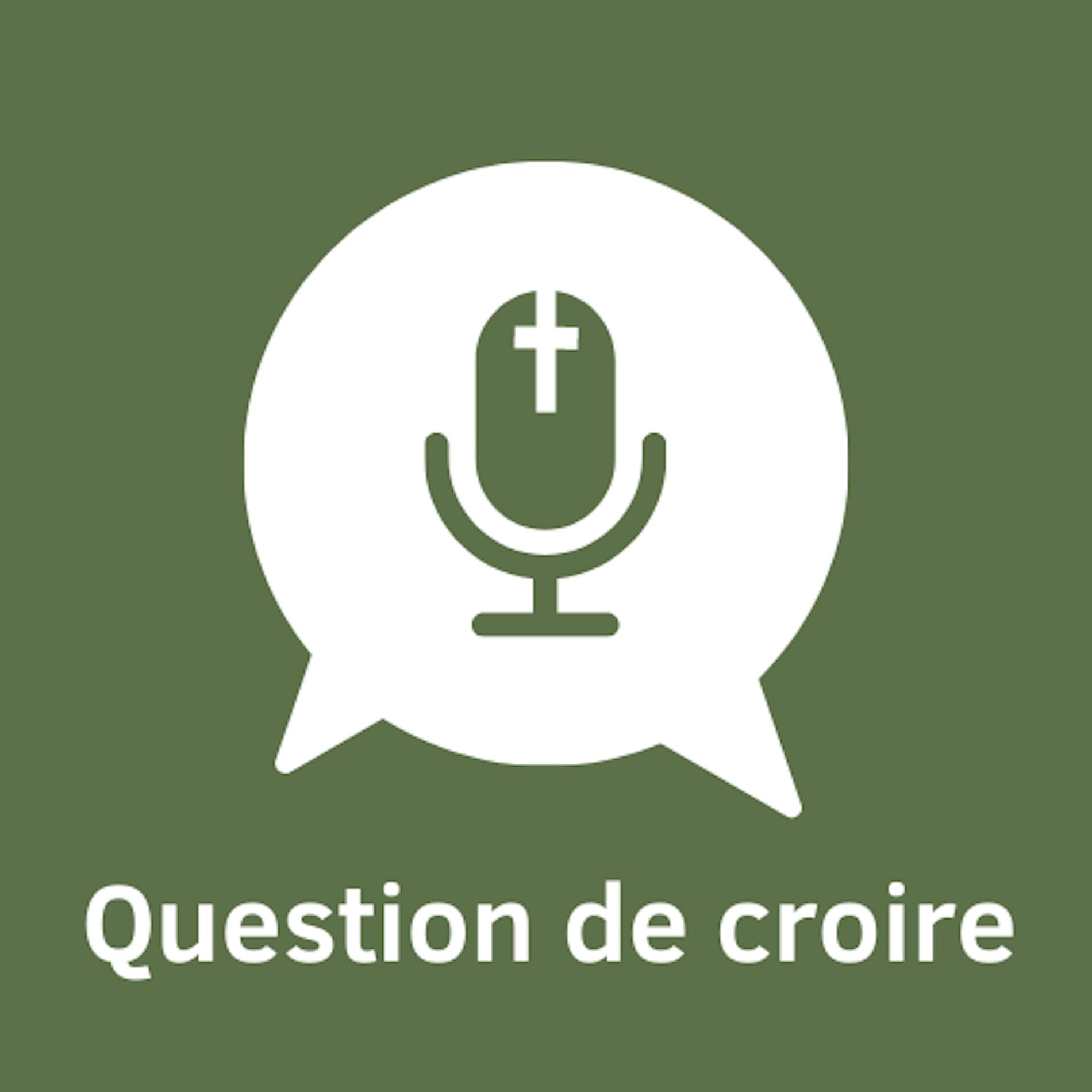Show cover of Question de croire
