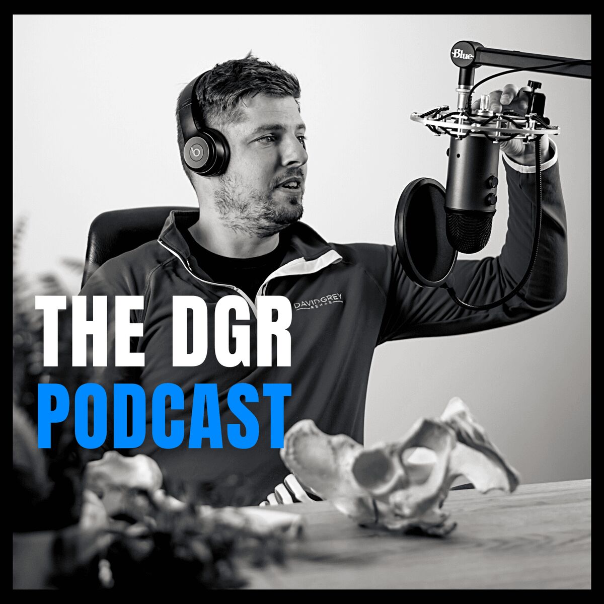 Show cover of THE DAVID GREY REHAB PODCAST
