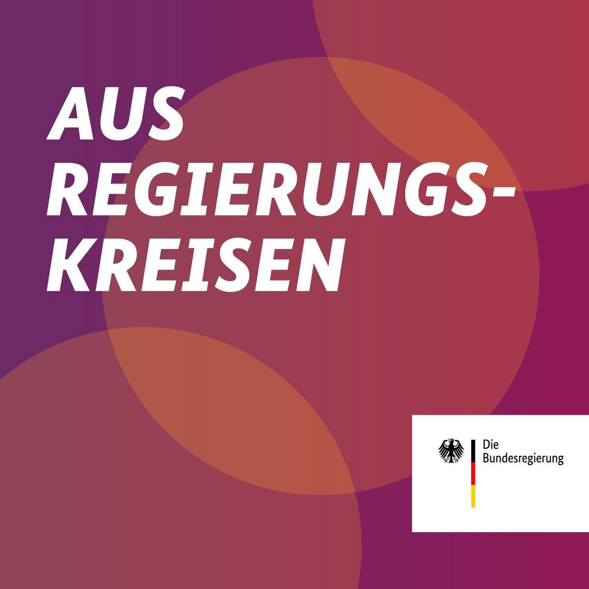 Show cover of AUS REGIERUNGSKREISEN