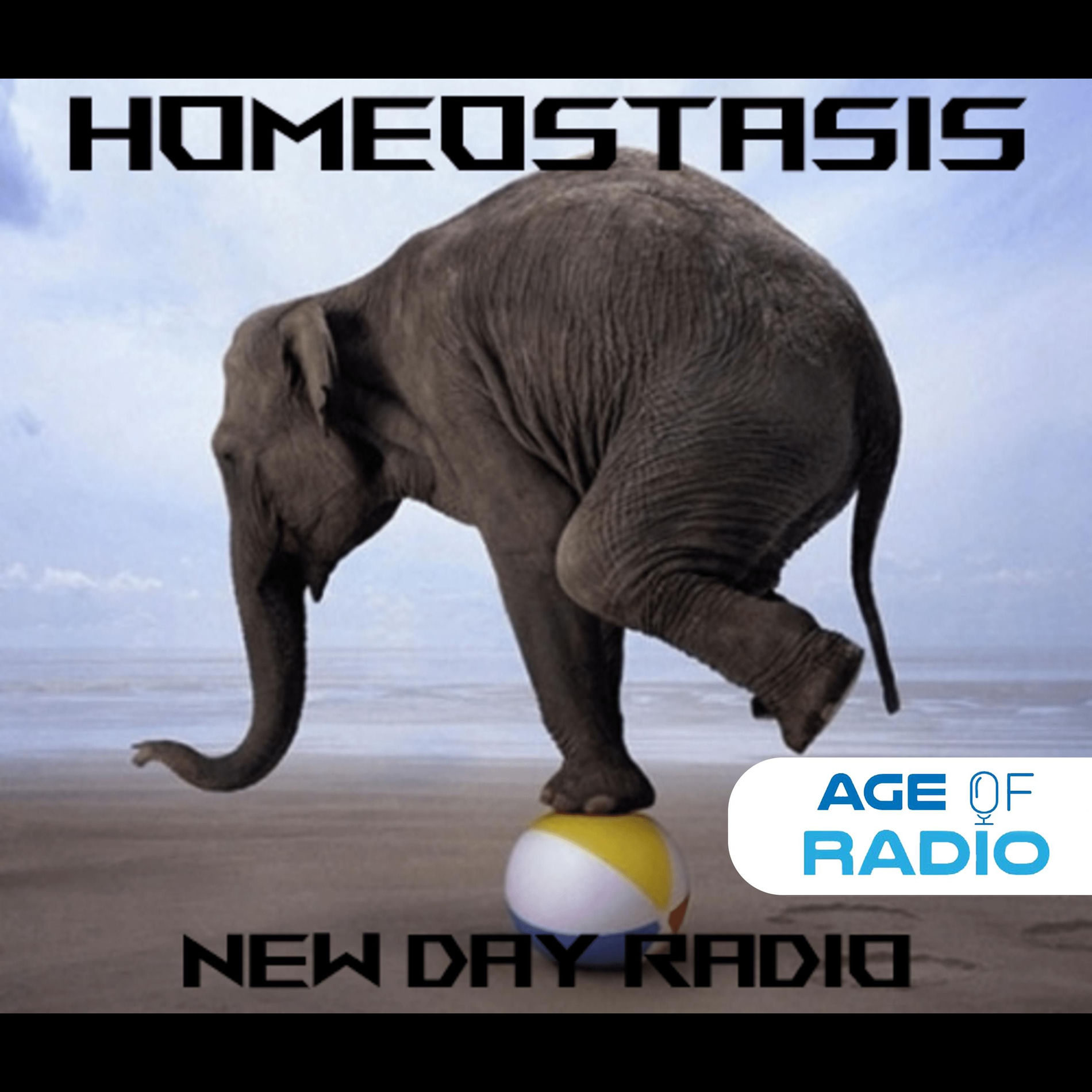 Show cover of Homeostasis