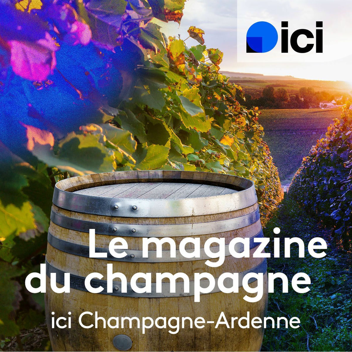 Show cover of Le magazine du champagne, ici Champagne-Ardenne